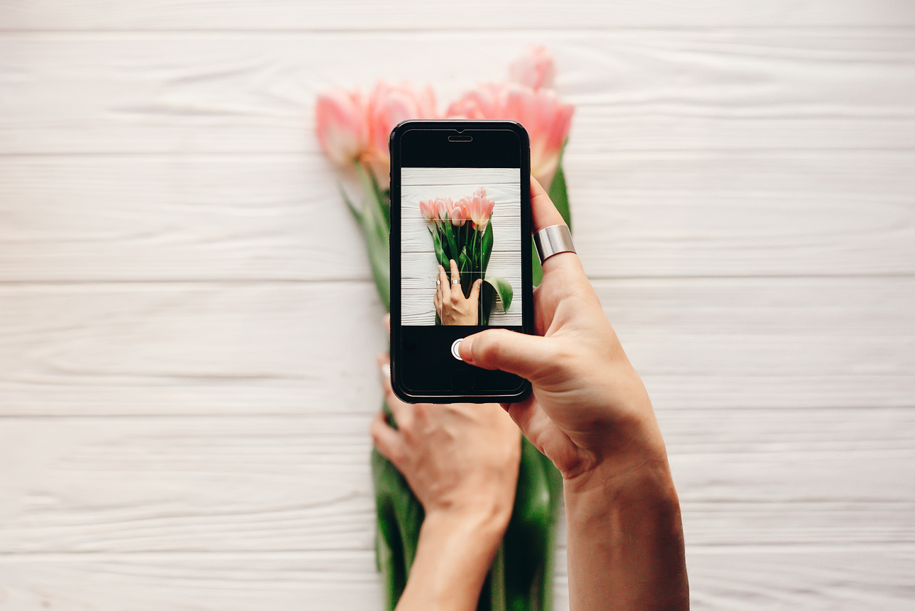 Instagram Photographer, Blogging Workshop Concept. Hand Holding