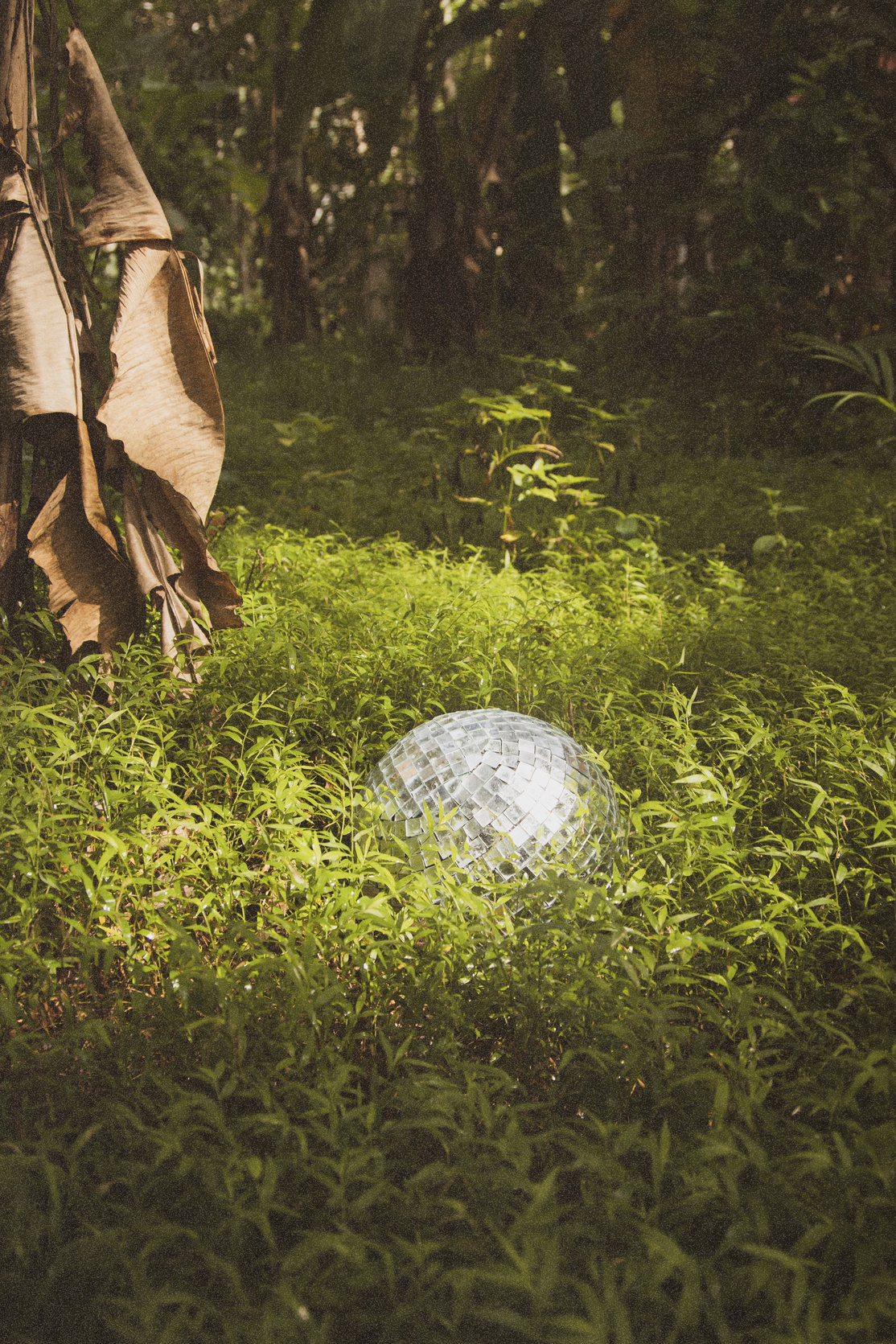 Abandoned Disco Ball Outdoors